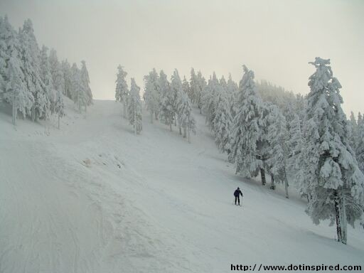 World ScreenSavers - Romania Brasov Screenshot